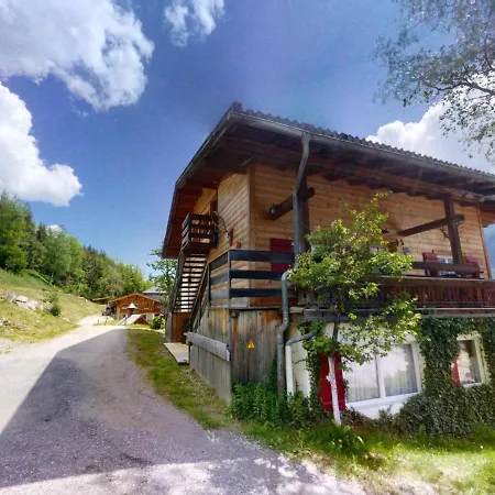 In Wildkogel Near Slopes