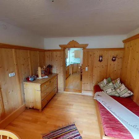 In Wildkogel Near Slopes *